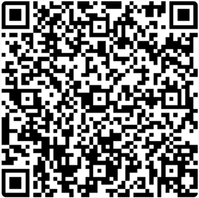 QR kód 13