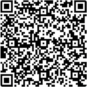 QR kód 17